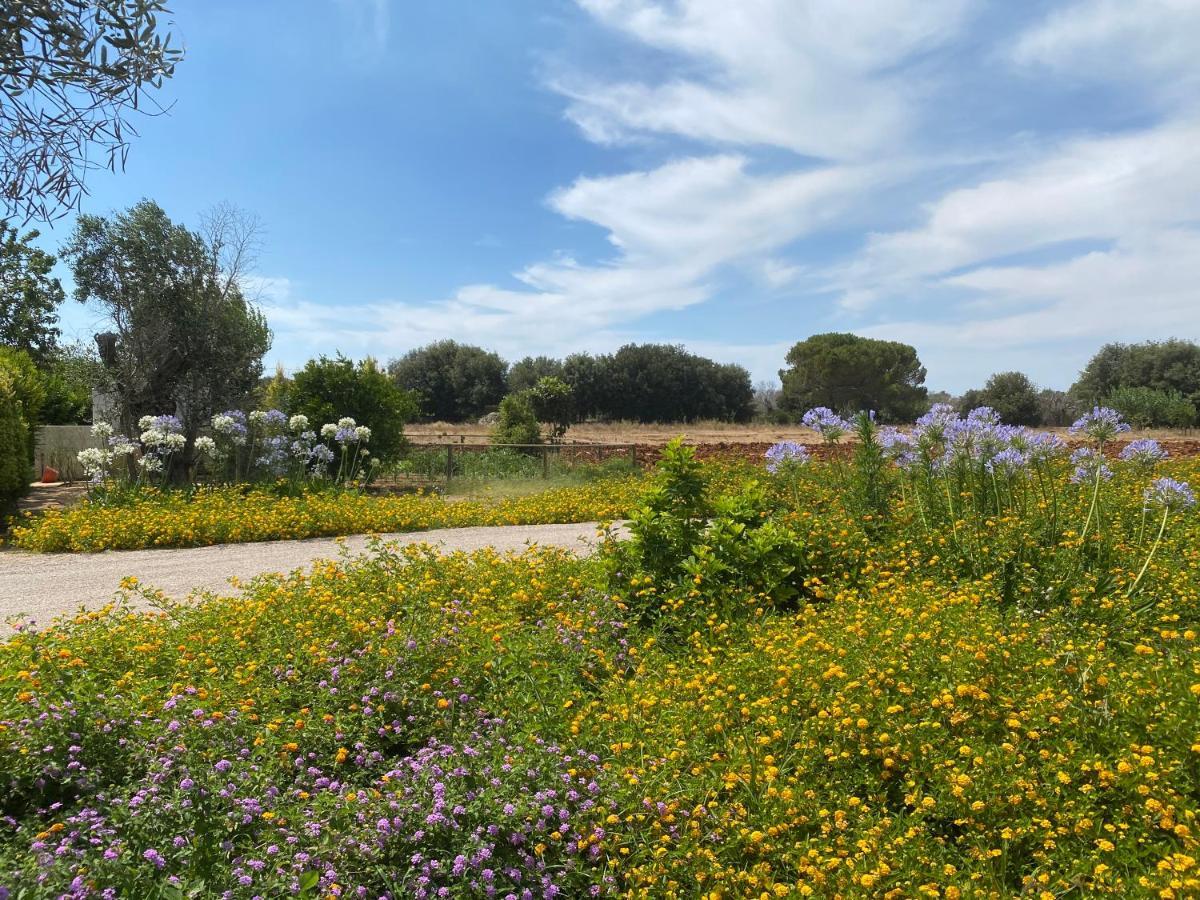 Casa Anna, Agriturismo Alla Castellana Gallipoli Exteriér fotografie