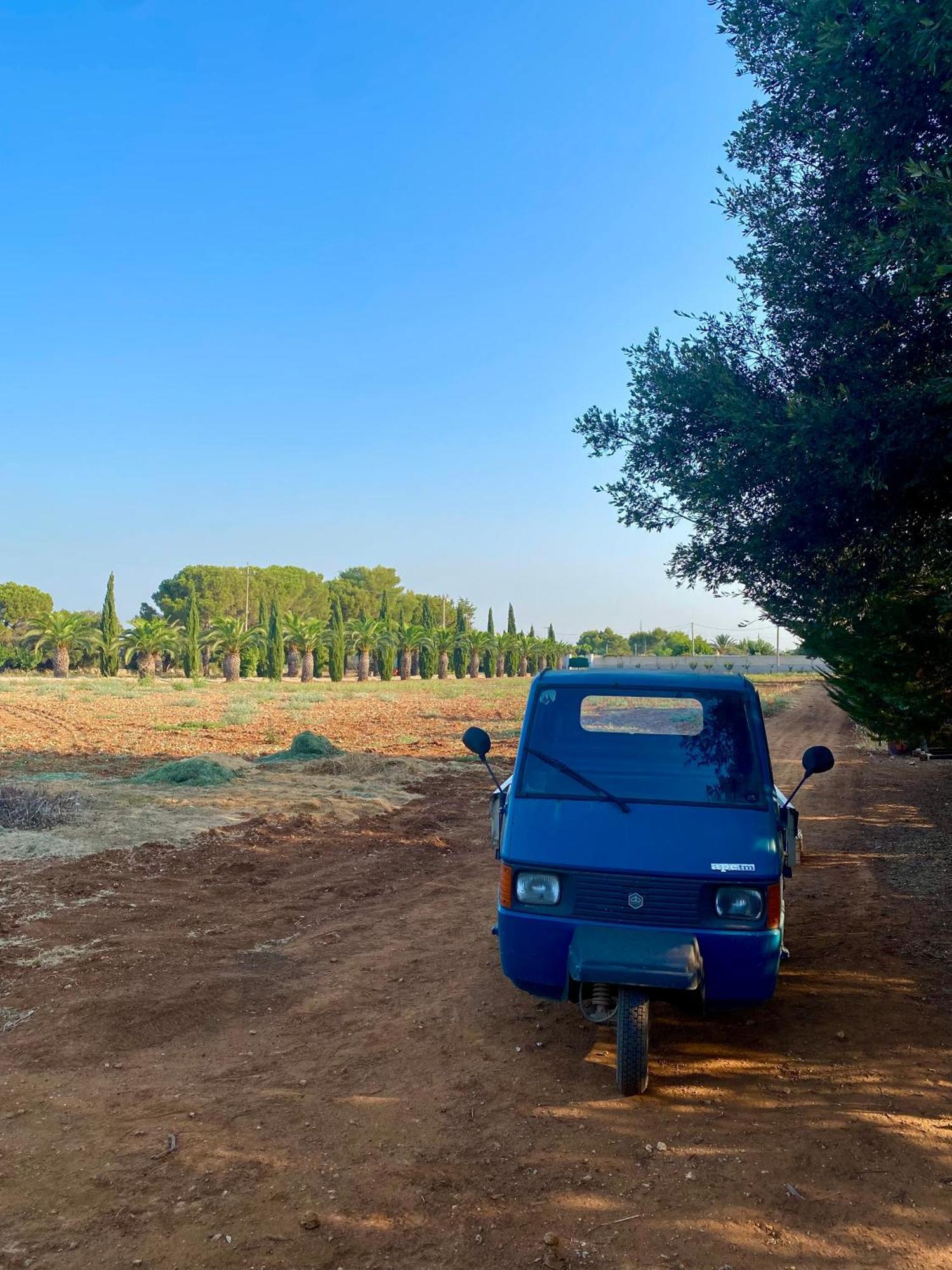 Casa Anna, Agriturismo Alla Castellana Gallipoli Exteriér fotografie