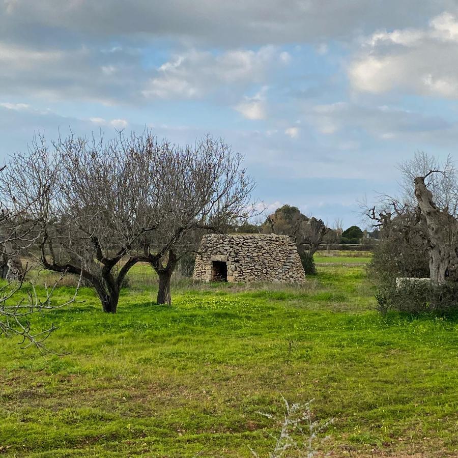 Casa Anna, Agriturismo Alla Castellana Gallipoli Exteriér fotografie